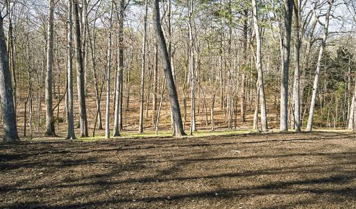 3946 Nottaway Rd 2-4