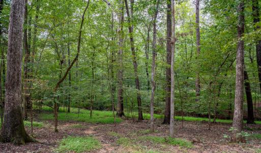 3946 Nottaway Rd-1