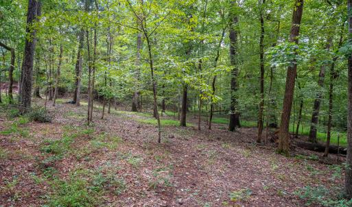 3946 Nottaway Rd-6
