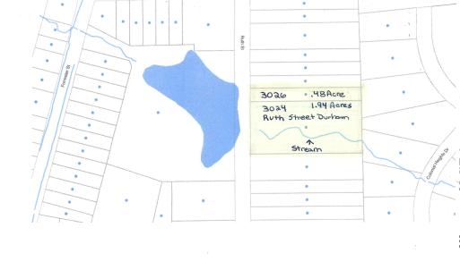 3024 3026 Ruth Street Aerial Stream Map