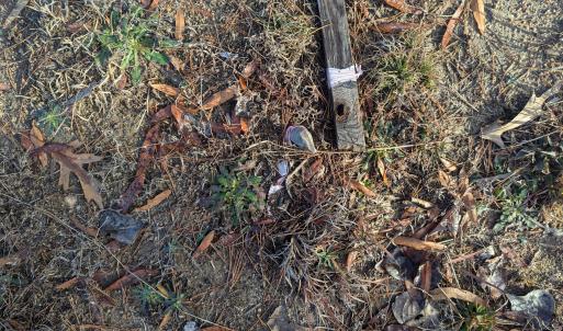 PXL_20241219_142642656 (1)