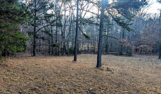 PXL_20241219_142750012~2 (1)