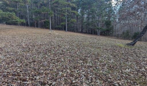 PXL_20241219_143041250 (1)