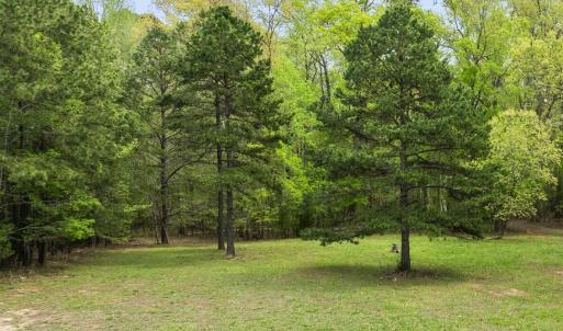 6-web-or-mls-DJI_0904