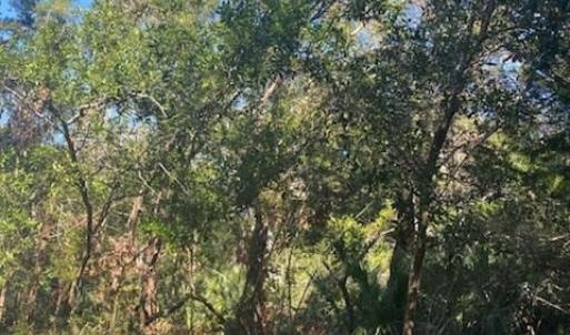 20230922174215265941000000-o