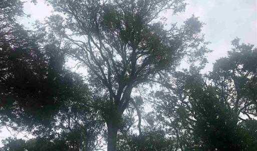 20230922174212549491000000-o