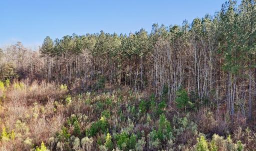 4-web-or-mls-Dewitt Smith Rd-004