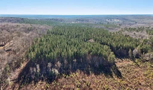 11-web-or-mls-Dewitt Smith Rd-011