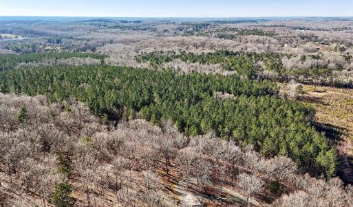 14-web-or-mls-Dewitt Smith Rd-014