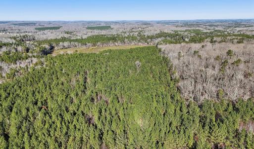16-web-or-mls-Dewitt Smith Rd-016