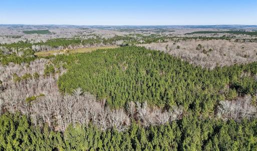 17-web-or-mls-Dewitt Smith Rd-017