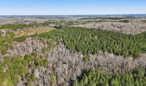 18-web-or-mls-Dewitt Smith Rd-018