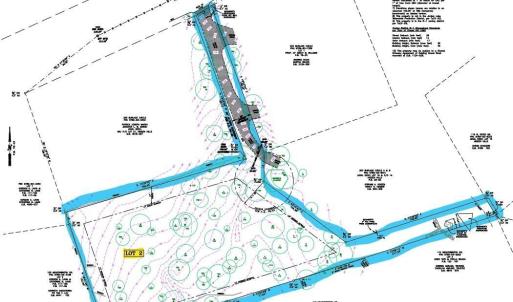 Burlage Cir - survey snip