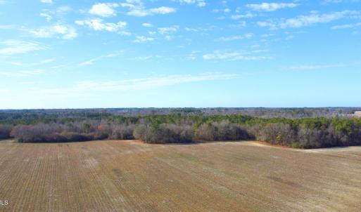 DJI_0219