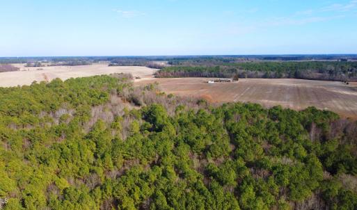 DJI_0229