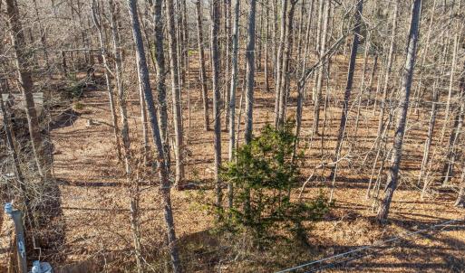 14-web-or-mls-DJI_0621