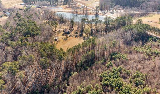 Olive Branch Prof. Picture #10