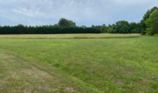 4524 W Millstone pic4