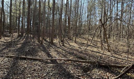 Hardwoods Throughout Lot