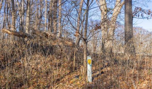 09-009-Chatham-Parcel-13882-20250102