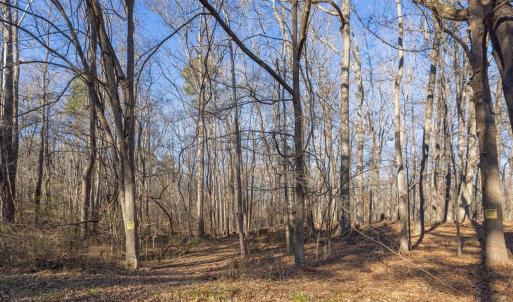 10-010-Chatham-Parcel-13882-20250102