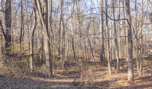 11-011-Chatham-Parcel-13882-20250102