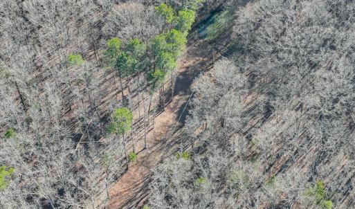 17-017-Chatham-Parcel-13882-20250102