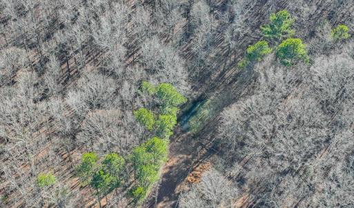 18-018-Chatham-Parcel-13882-20250102