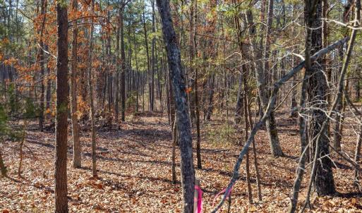 29-029-Tract1-RobedoRd-MontgomeryCounty-
