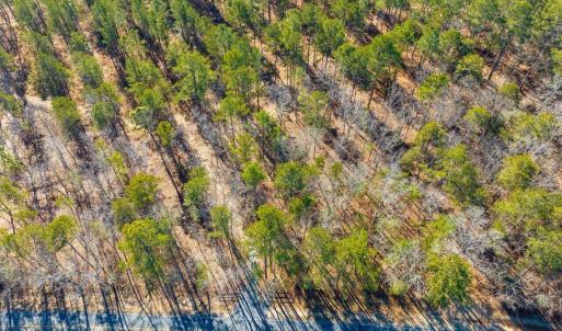 03-003-Tract1-RobedoRd-MontgomeryCounty-