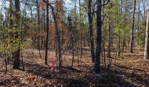 15-015-Tract1-RobedoRd-MontgomeryCounty-