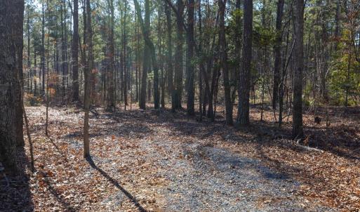 20-020-Tract1-RobedoRd-MontgomeryCounty-