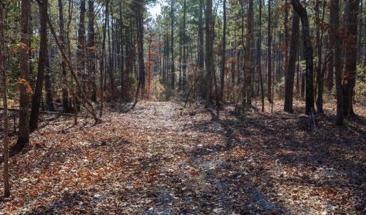 21-021-Tract1-RobedoRd-MontgomeryCounty-