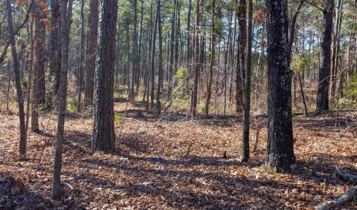 23-023-Tract1-RobedoRd-MontgomeryCounty-