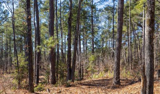 24-024-Tract1-RobedoRd-MontgomeryCounty-