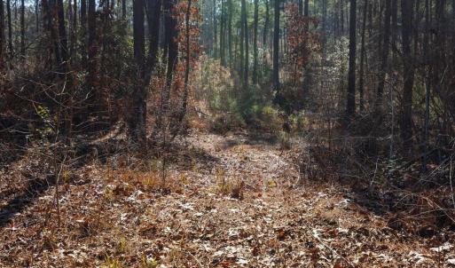 25-025-Tract1-RobedoRd-MontgomeryCounty-