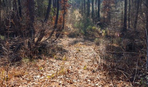 26-026-Tract1-RobedoRd-MontgomeryCounty-