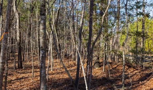 27-027-Tract1-RobedoRd-MontgomeryCounty-