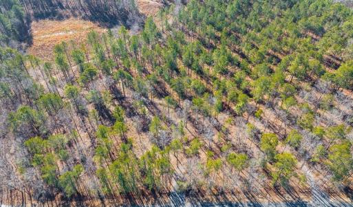 04-004-Tract2-RobedoRd-MontgomeryCounty-