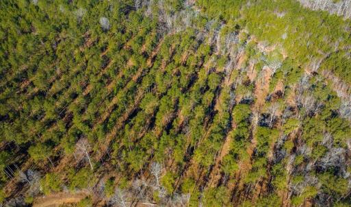 07-007-Tract2-RobedoRd-MontgomeryCounty-