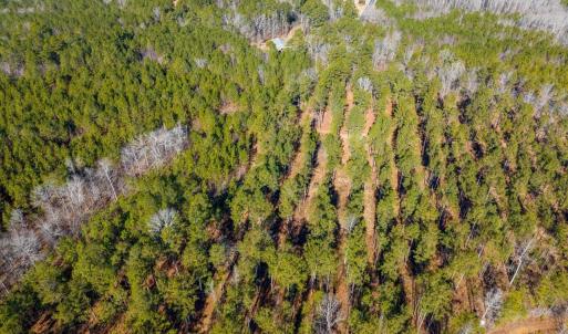 09-009-Tract2-RobedoRd-MontgomeryCounty-