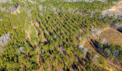 10-010-Tract2-RobedoRd-MontgomeryCounty-