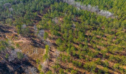 13-013-Tract2-RobedoRd-MontgomeryCounty-