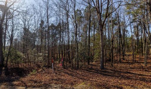 18-018-Tract2-RobedoRd-MontgomeryCounty-