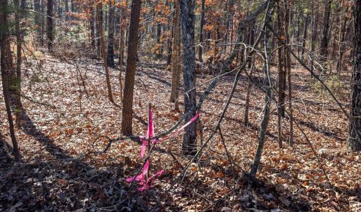 20-020-Tract2-RobedoRd-MontgomeryCounty-