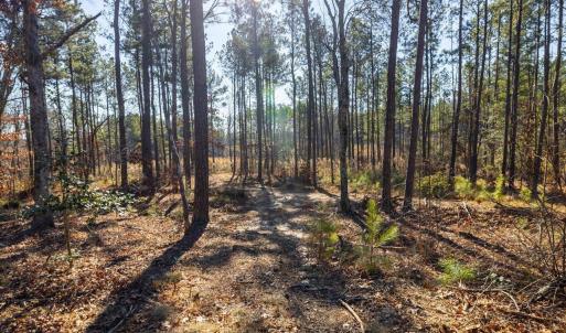 24-024-Tract2-RobedoRd-MontgomeryCounty-