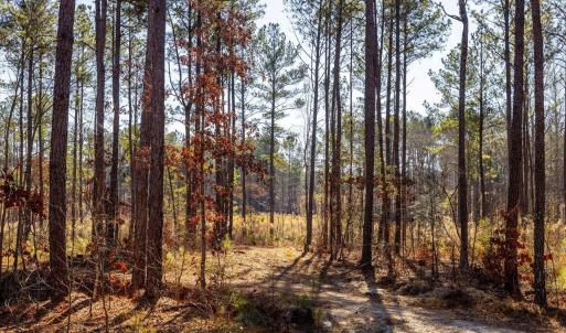 27-027-Tract2-RobedoRd-MontgomeryCounty-