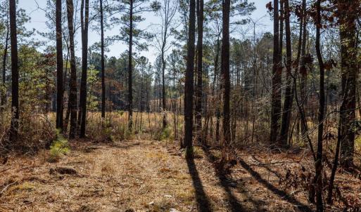 30-030-Tract2-RobedoRd-MontgomeryCounty-