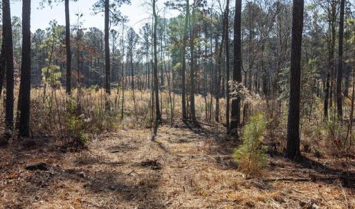 31-031-Tract2-RobedoRd-MontgomeryCounty-