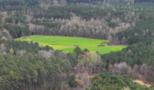 25-025-ChathamParcel-17926-20220325